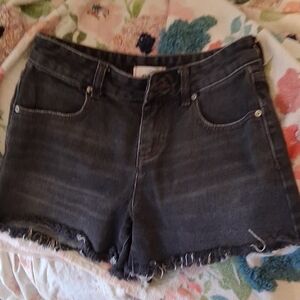 BDG BLACK JEAN SHORTS 26